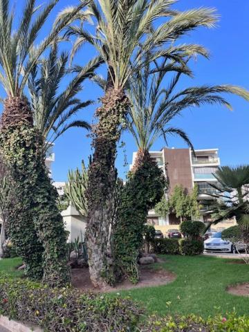 Appartement De Haut Standing En Residence Αγκαντίρ Εξωτερικό φωτογραφία