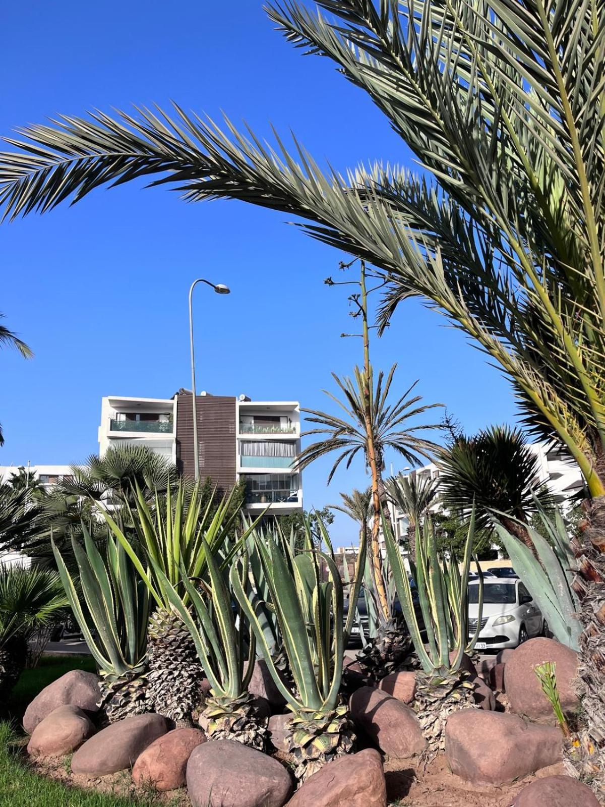 Appartement De Haut Standing En Residence Αγκαντίρ Εξωτερικό φωτογραφία